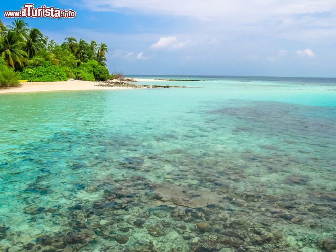 Immagine Una bella spiagga sull'isola di Asdu (Ashdu), all'interno dell'Atollo di Malé Nord (North Malé), Isole Maldive - foto © Shutterstock.com