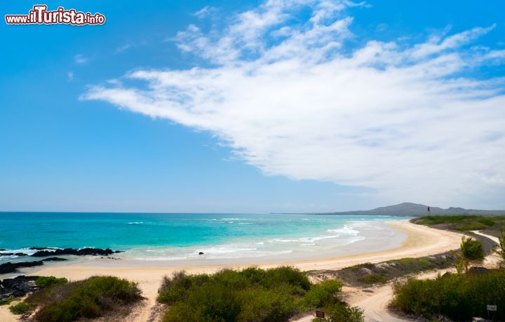 Immagine Una spiaggia dell'isola di Isabela, alle Galapagos. E' l'isola più vasta di tutto l'arcipelago delle Ecuador, che si è formata per l'unione di 6 distinti apparati vulcanici. Molte escursioni si svolgono lungo le sue coste dove abitano ouìinguini, cormorani e le affascinanti iguane marine - © BlueOrange Studio / Shutterstock.com