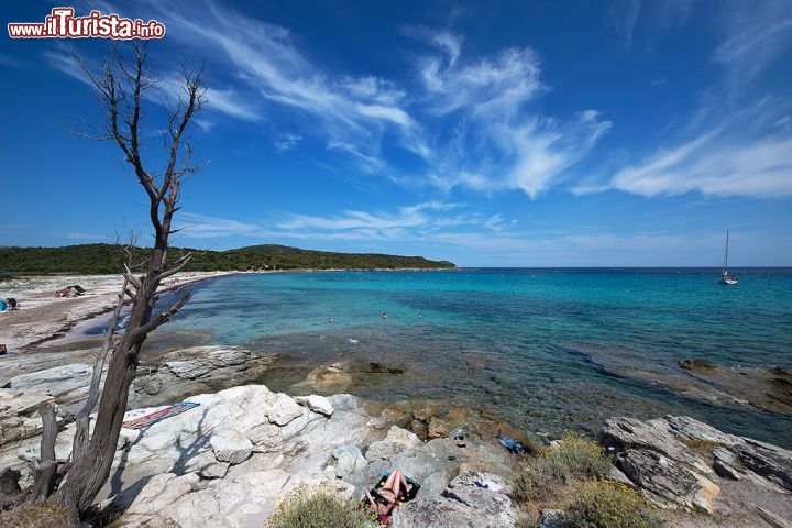 Immagine La natura arida di Spiaggia Lotu, Corsica - immersa nel Deserto delle Agriate, questa magnifica spiaggia è famosa in tutta la Corsica per il suo mare limpidissimo e per la natura selvaggia che la circonda. La spiaggia è infatti raggiungibile solo via mare o tramite impervi sentieri nella macchia mediterranea, tipica di questo magnifico territorio. 