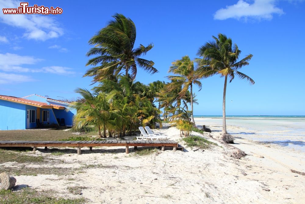 Immagine La spiaggia principale di Cayo Guillermo (Jardines del Rey, Cuba).