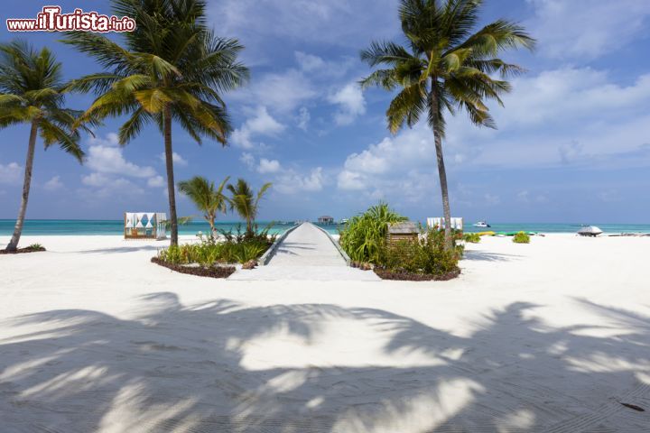 Immagine La spiaggia di un resort dell'atollo di Lhaviyani, Maldive. Siamo circa 120 km a nord della capitale Malé - foto © Shutterstock.com