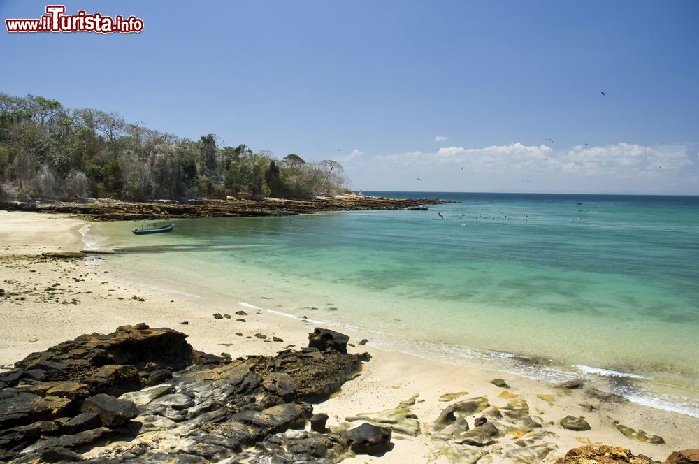 Immagine Spiaggia rocciosa con acqua cristallina all'isola di Pacheca, Panama. Sullo sfondo la rigogliosa foresta tropicale che caratterizza la maggior parte del territorio dell'arcipelago.