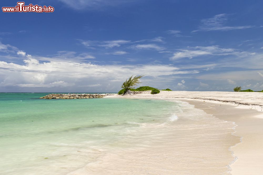 Immagine Spiaggia tropicale nei pressi di Juan Dolio in Repubblica Dominicana