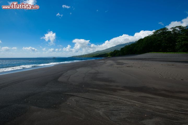 Immagine Una spiaggia vulcanica all'interno del Parco Nazionale di Tangkoko, nella provincia del Sulawesi Settentrionale (Indonesia), non distante dalla città di Bitung - foto © Luca Vaime/ Shutterstock.com