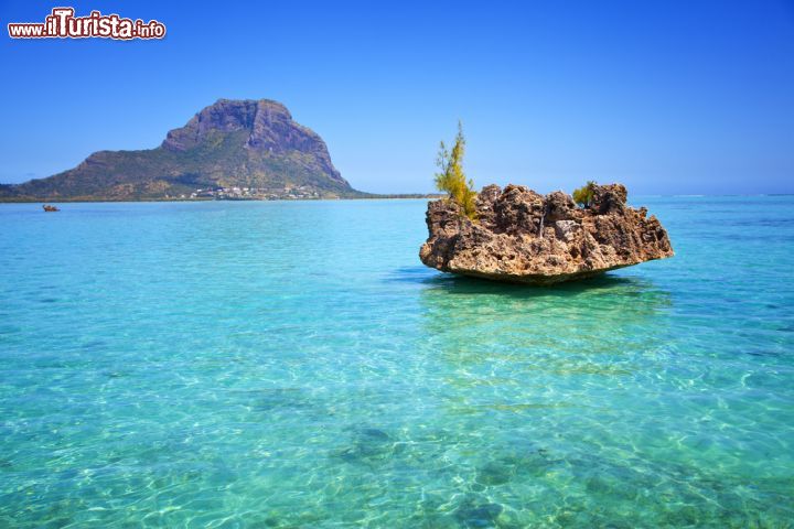 Immagine Splendida veduta dell'Oceano Indiano dall'isola di Mauritius, Africa - © Robert Mandel / Shutterstock.com