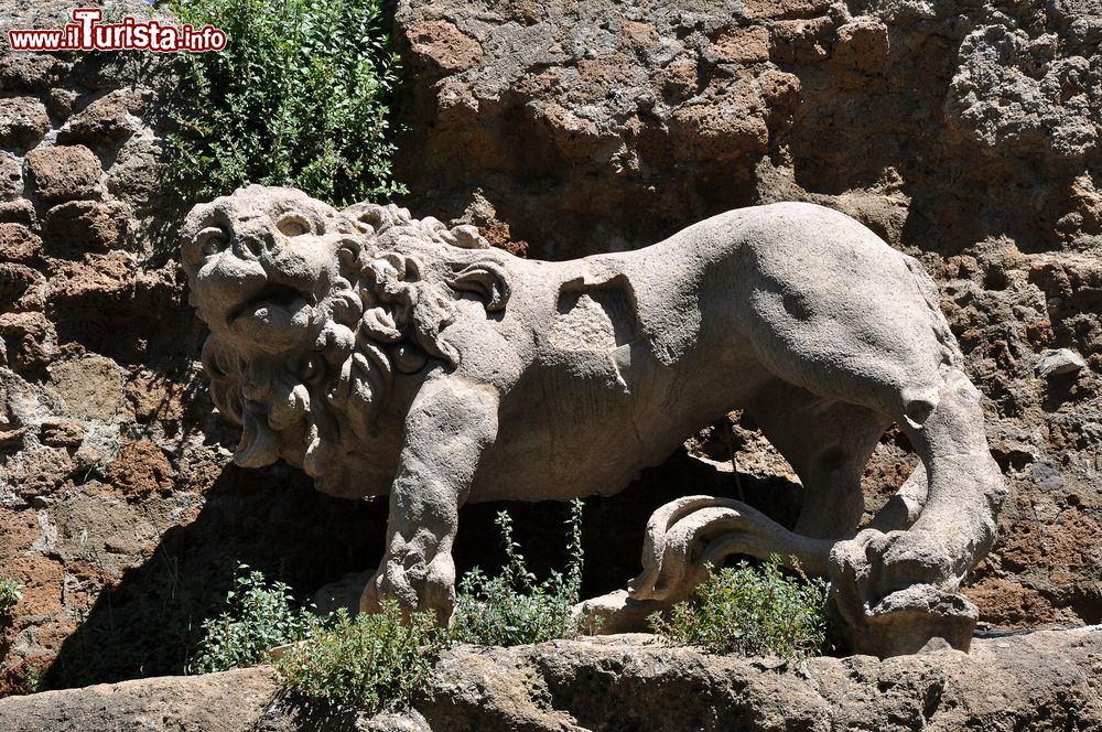 Immagine Una statua di leone fra le rovine dell'antica Monterano, Roma, Lazio.