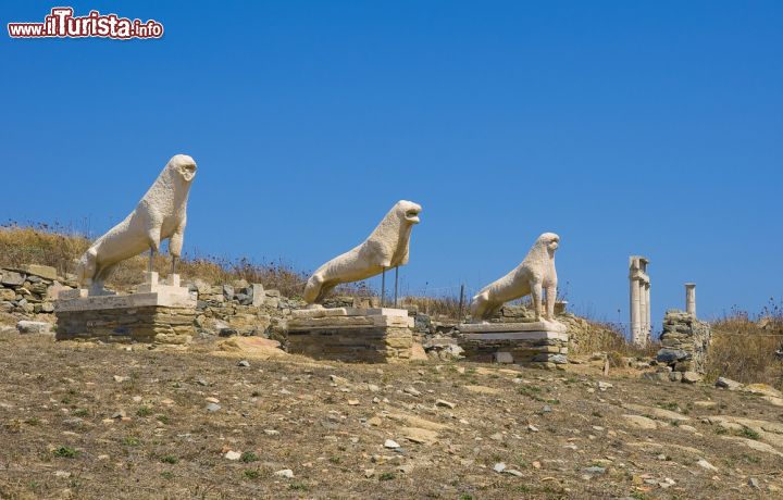 Immagine Statue di leoni nel sito archeologico di Delos, Grecia. Le antiche statue dei leoni e le colonne in marmo nel sito archeologico di Delos, vicino a Mykonos. Attualmente soltanto agli archeologici è permesso pernottare sull'isola