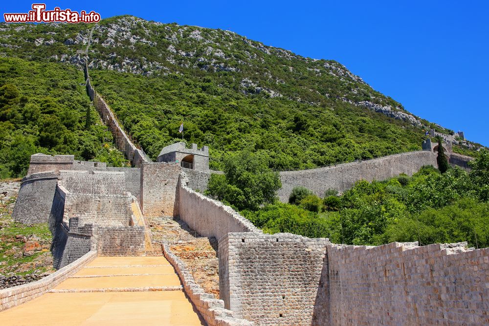 Immagine Ston (Penisola di Peljesac), Croazia: le mura difensive della città sono intervallate da 41 torri di cui 31 quadrangolari e le rimanenti 10 a forma circolare.