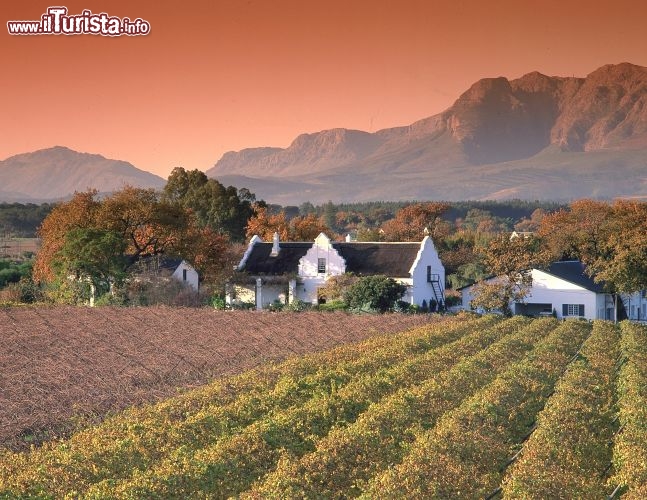 Immagine Tour tra i vigneti del Sudafrica - Fonte South African Tourism