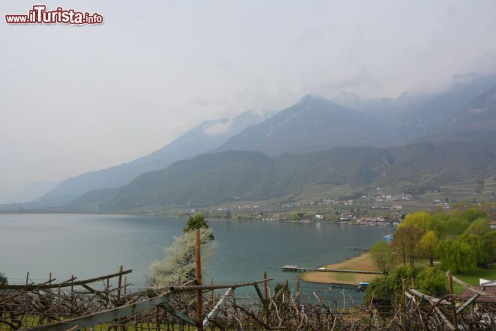 Immagine La Strada del Vino tra Appiano e Termeno sul lago di Caldaro