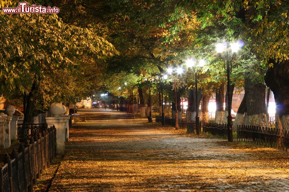 Immagine Strada di Blagoveshchensk by night, Russia. Il foliage autunnale rende ancora più suggestiva l'atmosfera che si respira passeggiando per le vie della città.