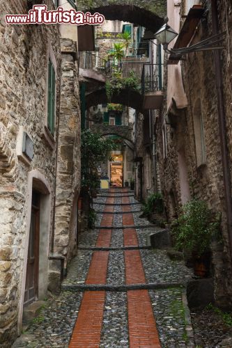 Immagine Una delle vie nel villaggio di Dolceacqua a Imperia, Liguria - Sembra di essere fuori dal tempo passeggiando per le strette viuzze di questa cittadella incastonata fra le vie del sale, la Provenza e il mar Ligure. L'atmosfera tipica del medioevo si respira anche grazie alle antiche case che si affacciano sulle strade del borgo © Khirman Vladimir / Shutterstock.com