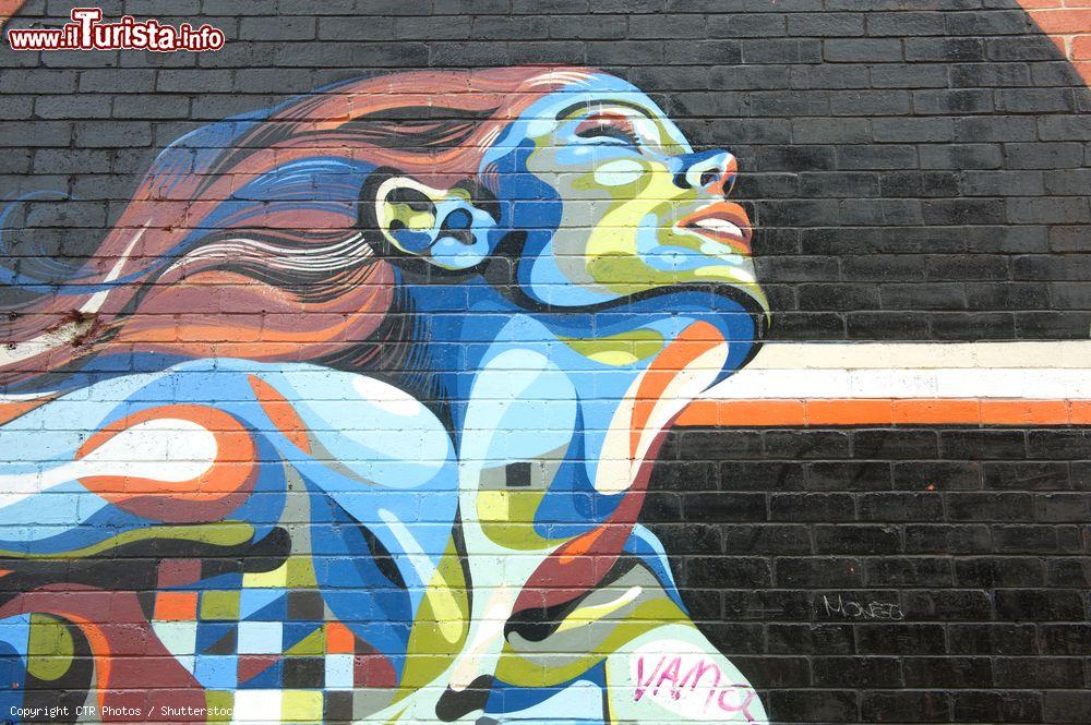 Immagine Street art in una via del centro di Adelaide, Australia. I governi locali della città riconoscono questa forma di arte come un'importante attività per lo sviluppo e la promozione territoriale - © CTR Photos / Shutterstock.com