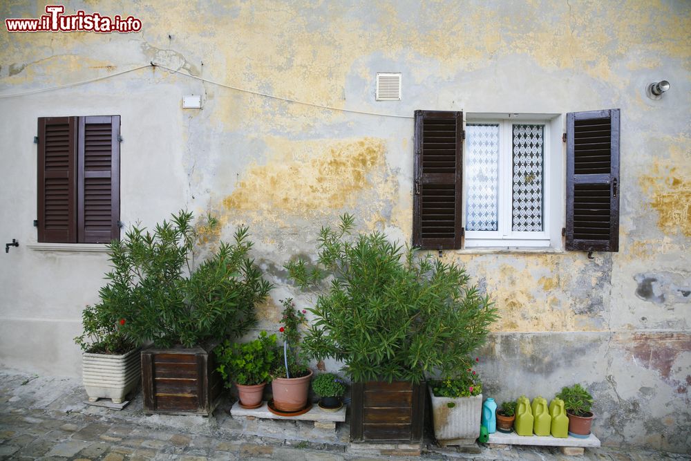 Immagine Street view nel centro storico di Mondavio, Marche.