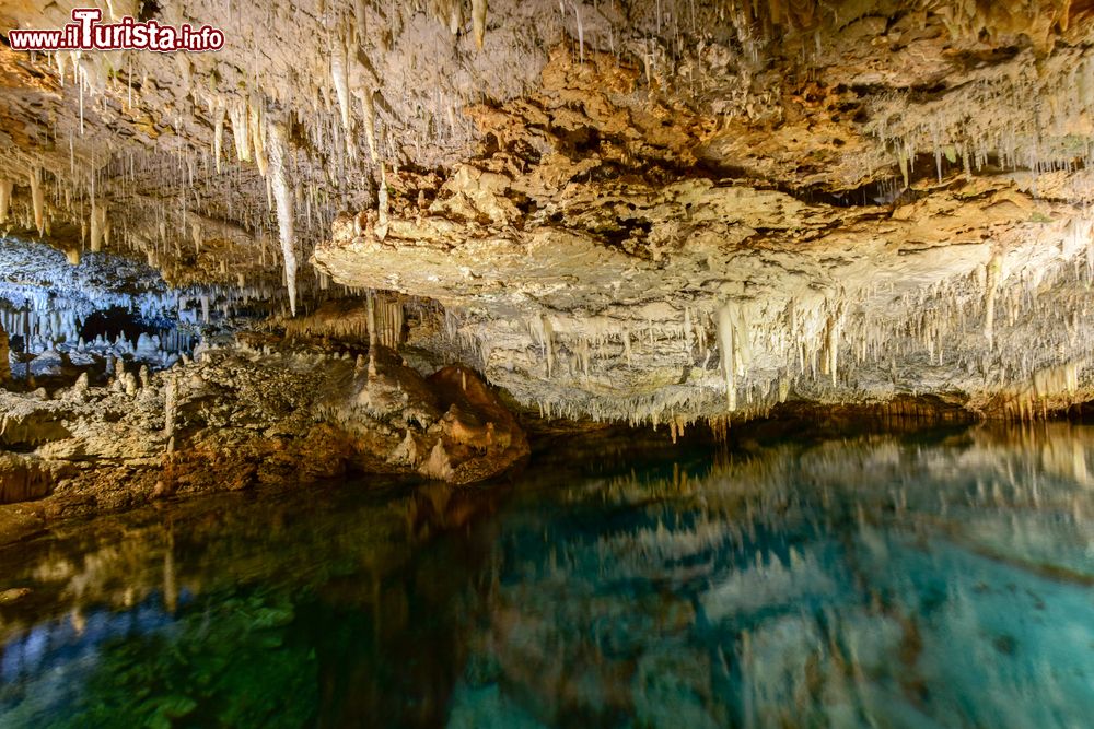 Immagine Una suggestiva grotta sotterranea a Bermuda. Stalattiti e stalagmiti impreziosiscono questa cavità naturale, una delle tante che si possono ammirare nel territorio di Hamilton.