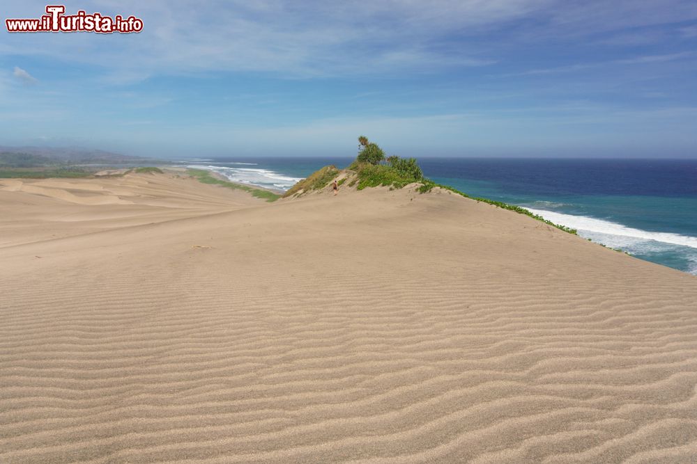 Immagine Un suggestivo paesaggio nel Sigatoka Sand Dunes National Park, a ovest della città di Sigatoka, isola di Viti Levu, Figi.