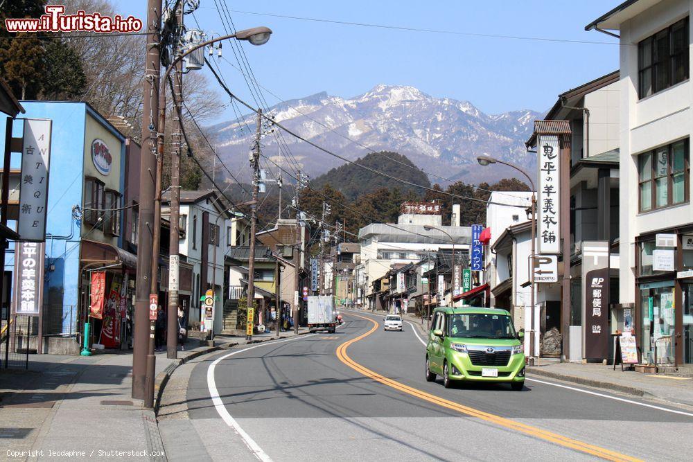 Immagine Sulla strada (camminando a piedi) per il Toshogu Temple, Nikko, Giappone. Sullo sfondo, le montagne con le cime ricoperte dalla neve - © leodaphne / Shutterstock.com