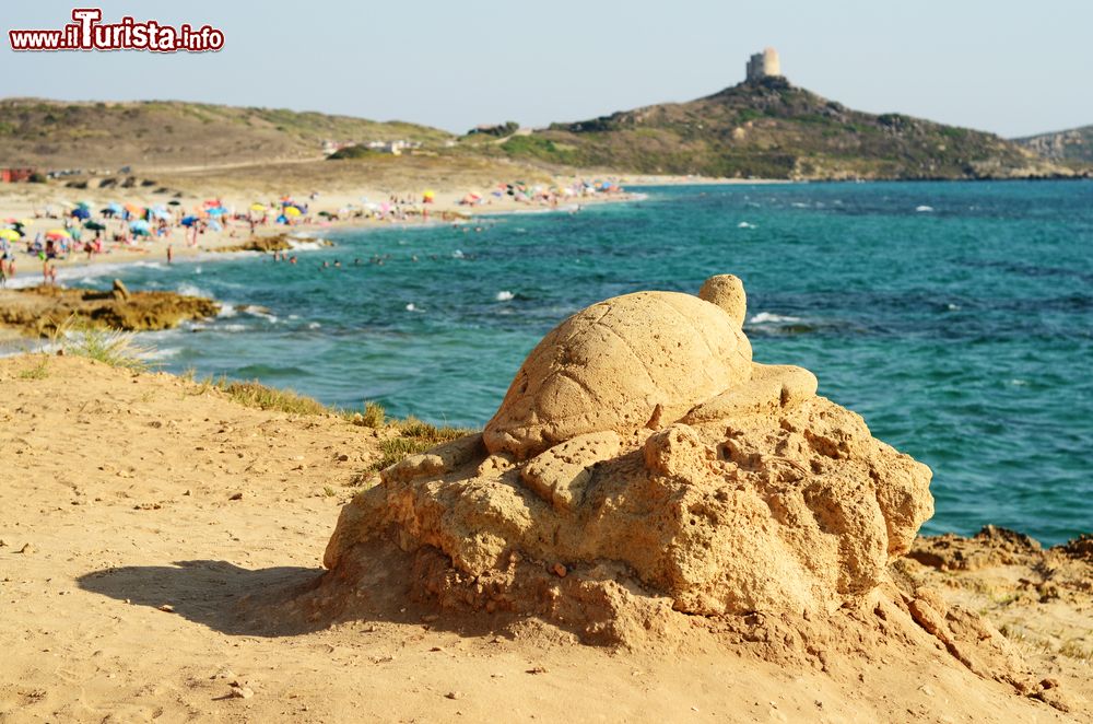 Immagine Una tartaruga di pietra sulla spiaggia di San Giovanni di Sinis, Sardegna. Siamo nella parte meridionale della penisola del Sinis lungo la strada che conduce all'antica città di Tharros.