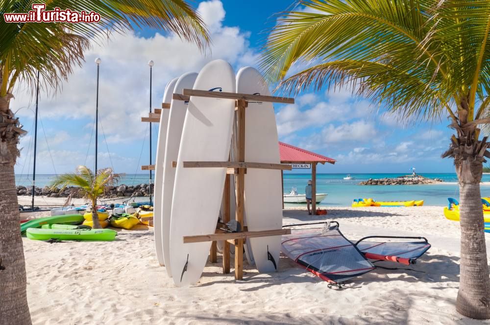 Immagine Tavole da surf riposte all'ingresso dell'area sportiva della spiaggia di Princess Cays, isola di Eleuthera, Bahamas - © byvalet / Shutterstock.com