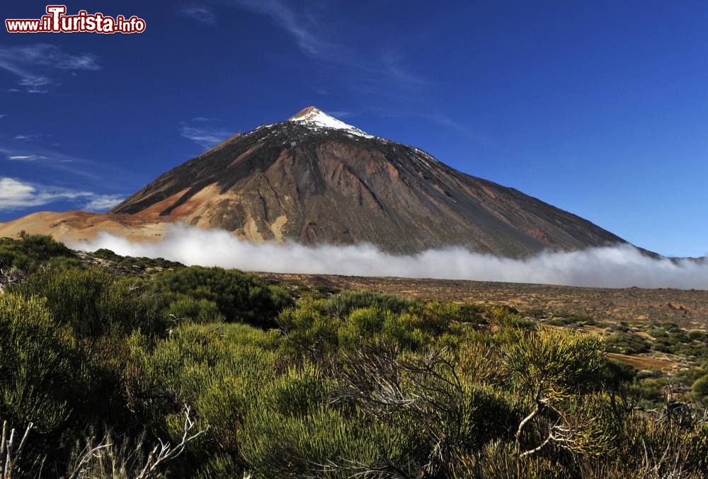 Immagine Tenerife (Canarie): la cima innevata del Teide, il vulcano più alto della Spagna e dell'Atlantico. La vetta si trova a 3718 metri s.l.m.