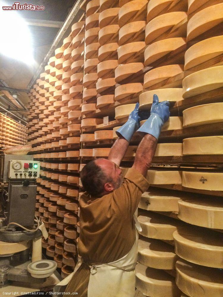 Immagine Tipica conservazione del formaggio fontina a Valpelline, Aosta - © dibettadifino / Shutterstock.com