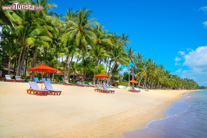 Immagine Tipica spiaggia dell'isola di Koh Samui, in Thailandia - © Anton Gvozdikov / Shutterstock.com