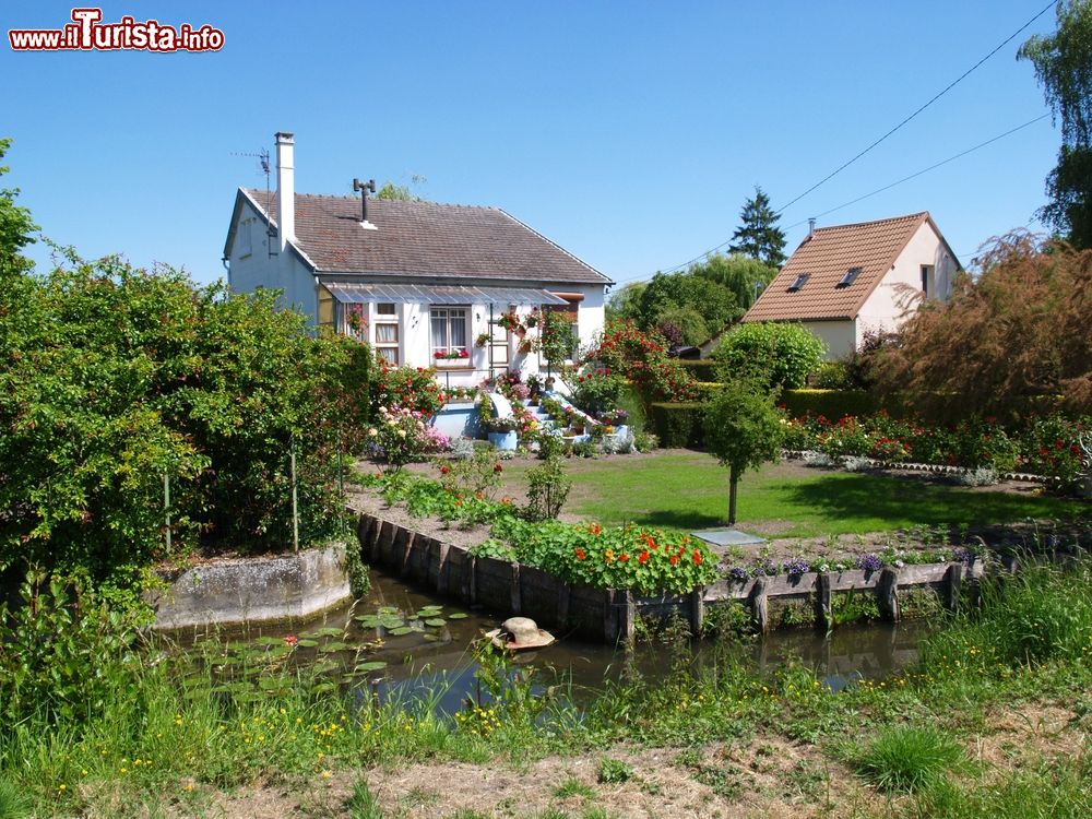 Immagine Tipiche abitazioni lungo i canali di Amiens, Francia. Per scoprire questi suggestivi giardini segreti si può partecipare a una gita sulle tradizionali barche a fondo piatto che solcano i canali cittadini.