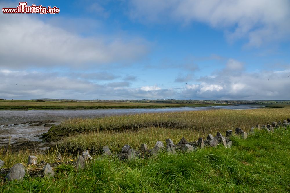Immagine Tipico paesaggio irlandese nei pressi del castello di Carrigafoyle, Ballylongford.
