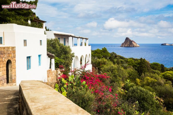 Immagine Tipico panorama di Panarea, Sicilia - Le tradizionali case di quest'isola siciliana sono circondate da una vegetazione di macchia mediterranea con fichi d'India, ginestre, capperi e piante di olivo © funkyfrogstock / Shutterstock.com