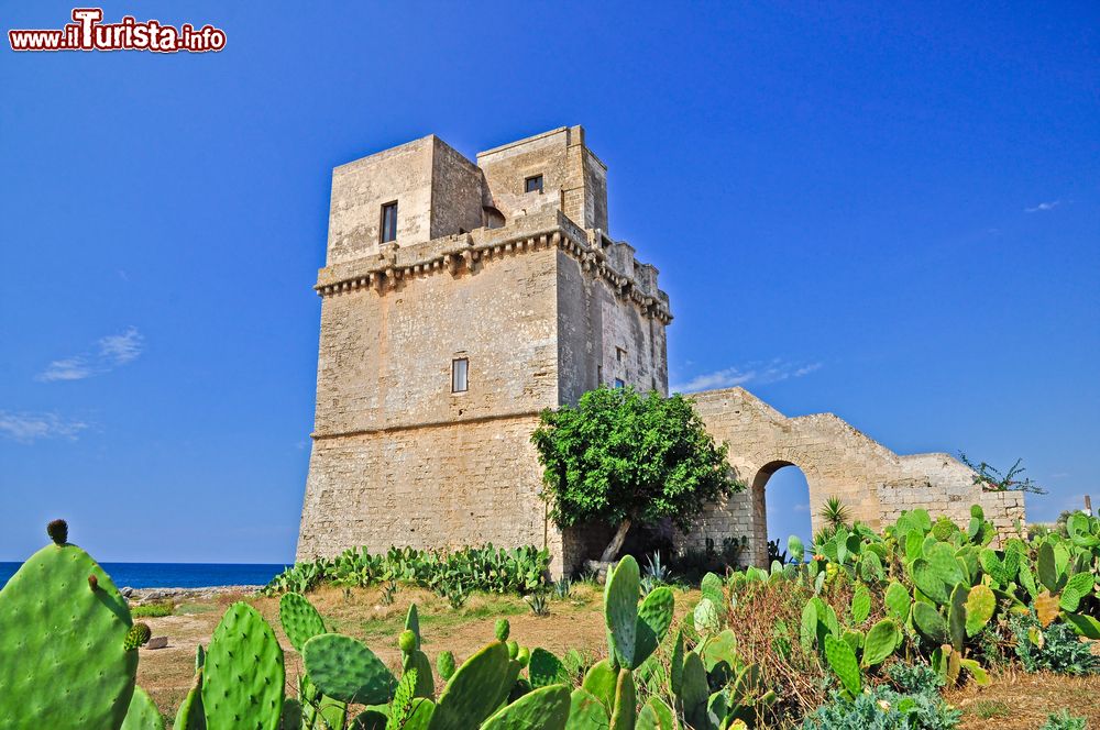 Immagine Torre Colimena sulla costa Jonica del Salento in Puglia