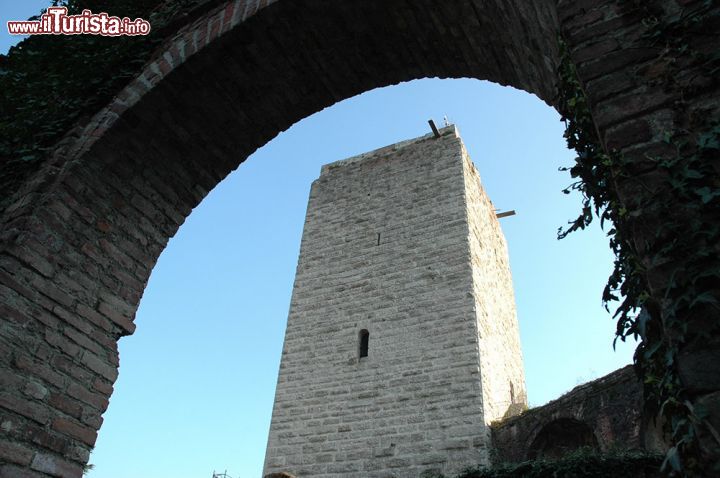 Immagine Torre del Castello Visconteo a Trezzo sull'Adda - le rovine dell'antica fortezza di Trezzo sull'Adda sono visitabili tutto l'anno tramite i tour organizzati dalla proloco, che prevedono la visita ai giardini, al museo longobardo e a ciò che rimane del castello, tra cui la bellissima torre, dalla quale si può godere di un panorama spettacolare sul borgo antico di Trezzo, il fiume Adda, la Centrale idroelettrica Taccani e, quando le giornate lo permettono, le colline di Bergamo.