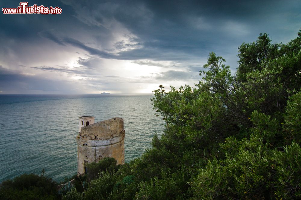 Immagine Torre Fico a San Felice Circeo, provincia di Latina, Lazio. Venne edificata nel 1562 a spese della famiglia Caetani assieme ad altre torri. Il nome deriverebbe dalla massiccia presenza di fichi d'India.