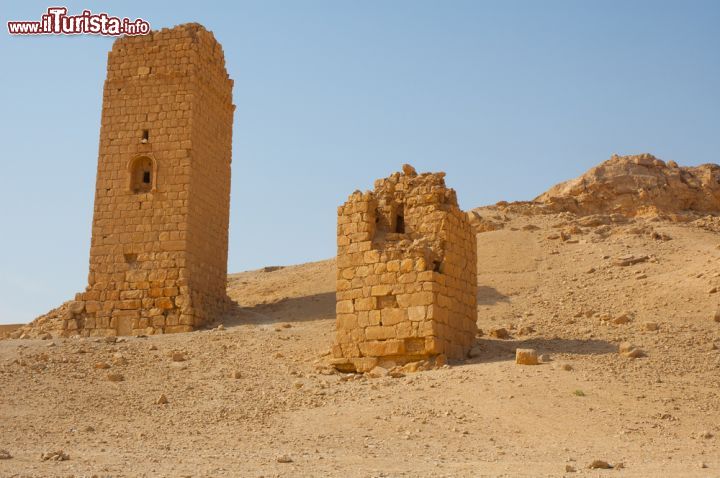 Immagine Due torri funerarie nel sito archeologico di palmira in Giordania - © Michal Szymanski / Shutterstock.com