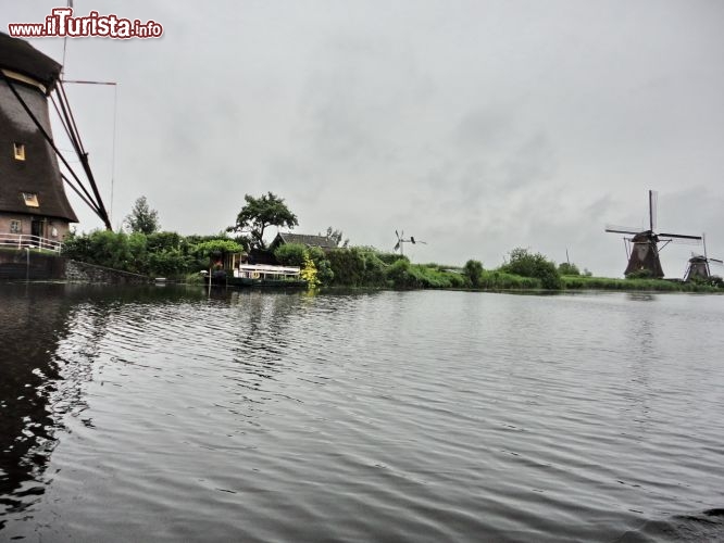 Immagine Tour battello a Kinderdijk, Olanda.