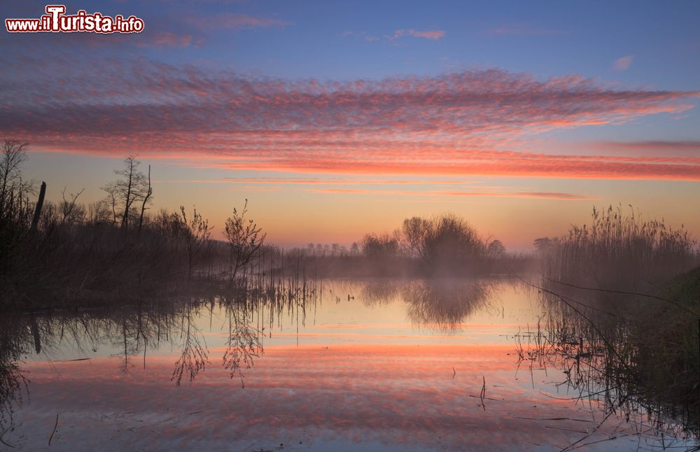 Immagine Tramonto in una area umida di Drenthe, Paesi Bassi