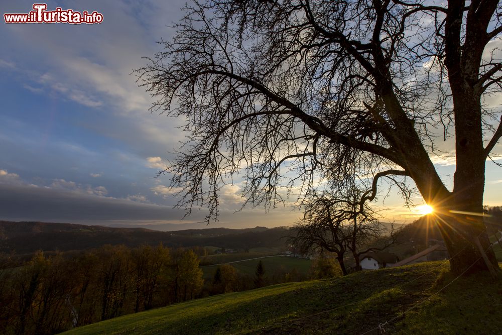 Immagine Tramonto nelle campagne di Catez Ob Savi in Slovenia