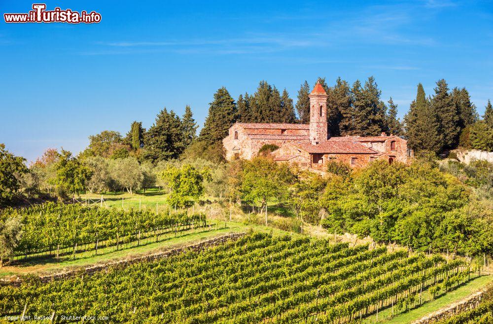 Immagine Tramonto sui vigneti a Montefioralle, provincia di Firenze, Toscana. Siamo nel regno del Chianti classico: qui  si possono assaporare gli eccellenti frutti delle viti - © RastoS / Shutterstock.com