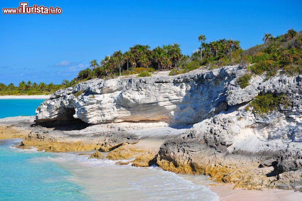 Immagine Un tratto di costa rocciosa sull'isola di Eleuthera, Bahamas.