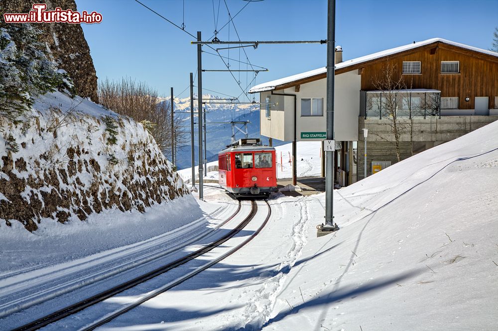 Immagine Treno a cremagliera sul monte Rigi a Rigi Kaltbad, Lucerna, Svizzera. Questo grazioso villaggio sorge sulle pendici del monte Rigi a un'altitudine di 1440 metri sul livello del mare.