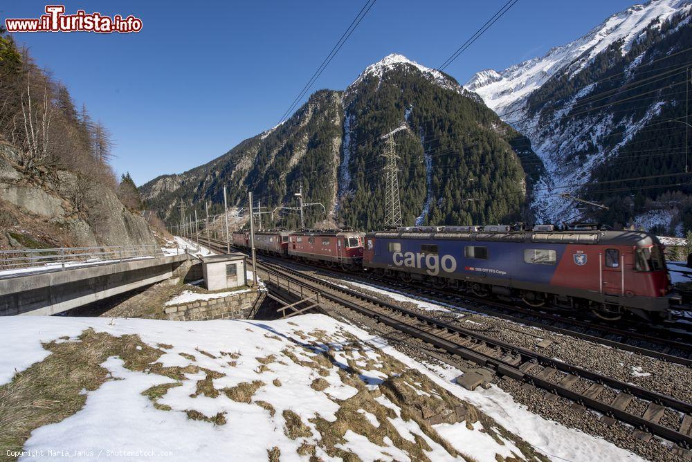 Immagine Un treno merci lungo la ferrovia del San Gottardo a Goschenen, Svizzera - © Maria_Janus / Shutterstock.com