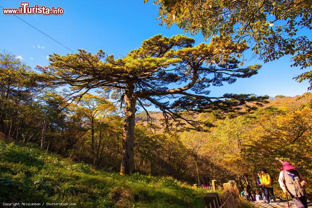 Immagine Turisti a passeggio sui monti Huangshan in autunno, Cina - © Meiqianbao / Shutterstock.com