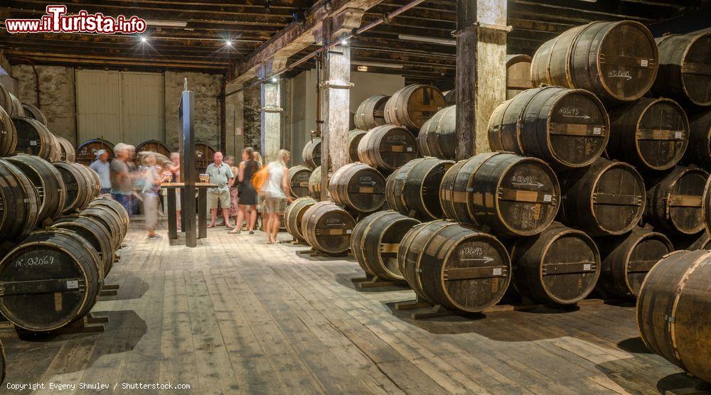 Immagine Turisti in visita alle cantine della distilleria Otard di Cognac, Francia - © Evgeny Shmulev / Shutterstock.com