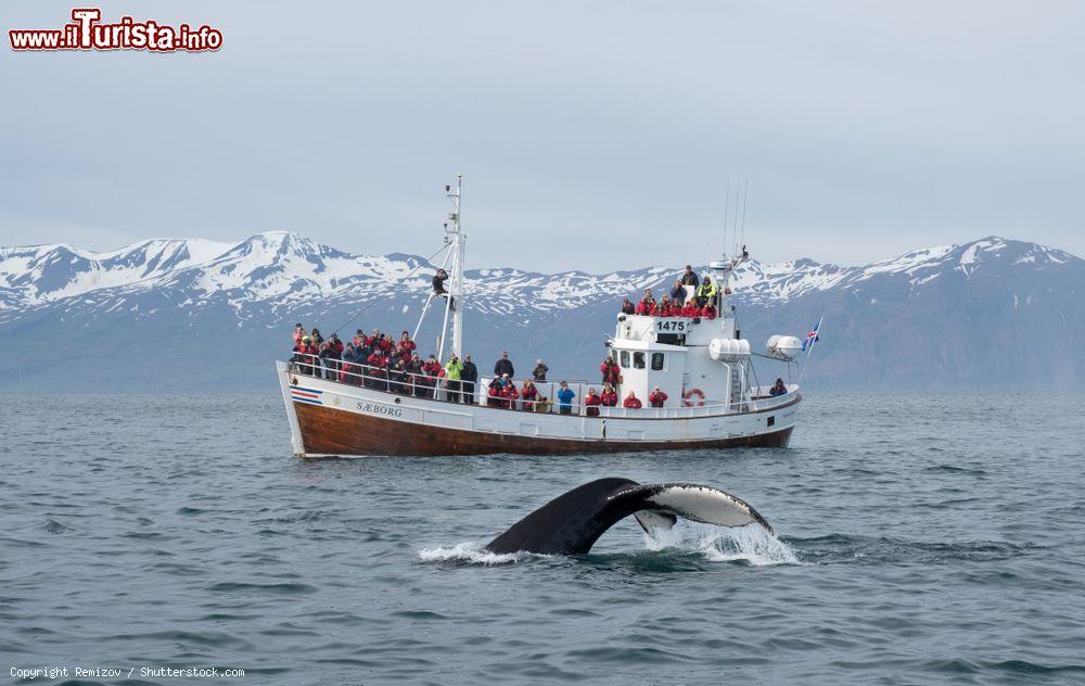 Immagine Turisti partecipano a un'escursione di whale watching nella baia di Husavik (Islanda) - © Remizov / Shutterstock.com