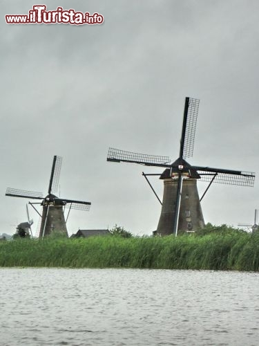 Immagine Un canale ad Kinderdijk, sito Unesco in Olanda. 