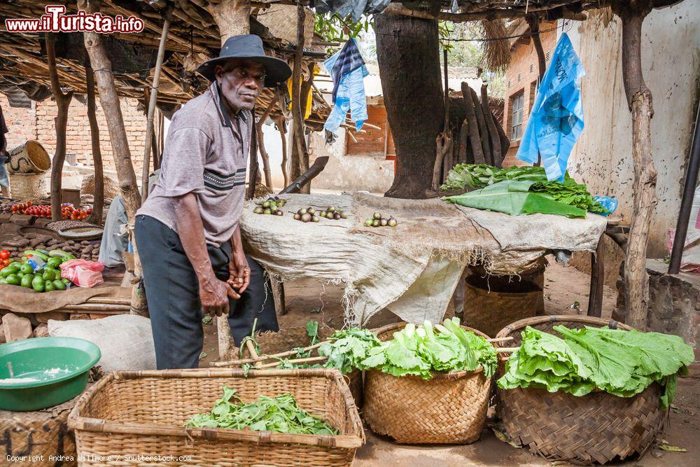 Immagine Un africano vende prodotti freschi in un mercato di Lilongwe, Malawi - © Andrea Willmore / Shutterstock.com