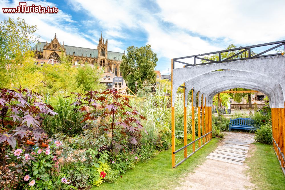 Immagine Un bel giardino in Piazza della Commedia a Metz, Francia. Sullo sfondo, la cattedrale cittadina dedicata a Santo Stefano.