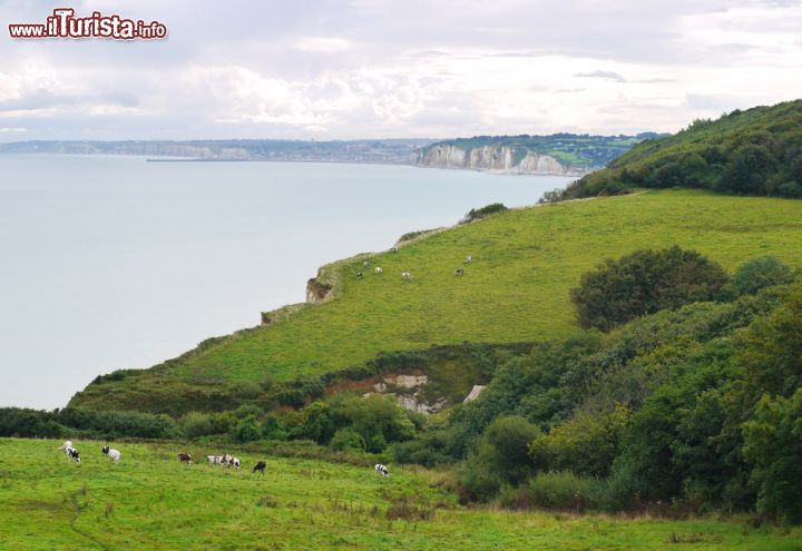 Immagine Un bel paesaggio a Varengeville-sur-Mer, Alta Normandia, Francia. Siamo in uno dei luoghi più affascinanti e seducenti della Costa d'Alabastro.