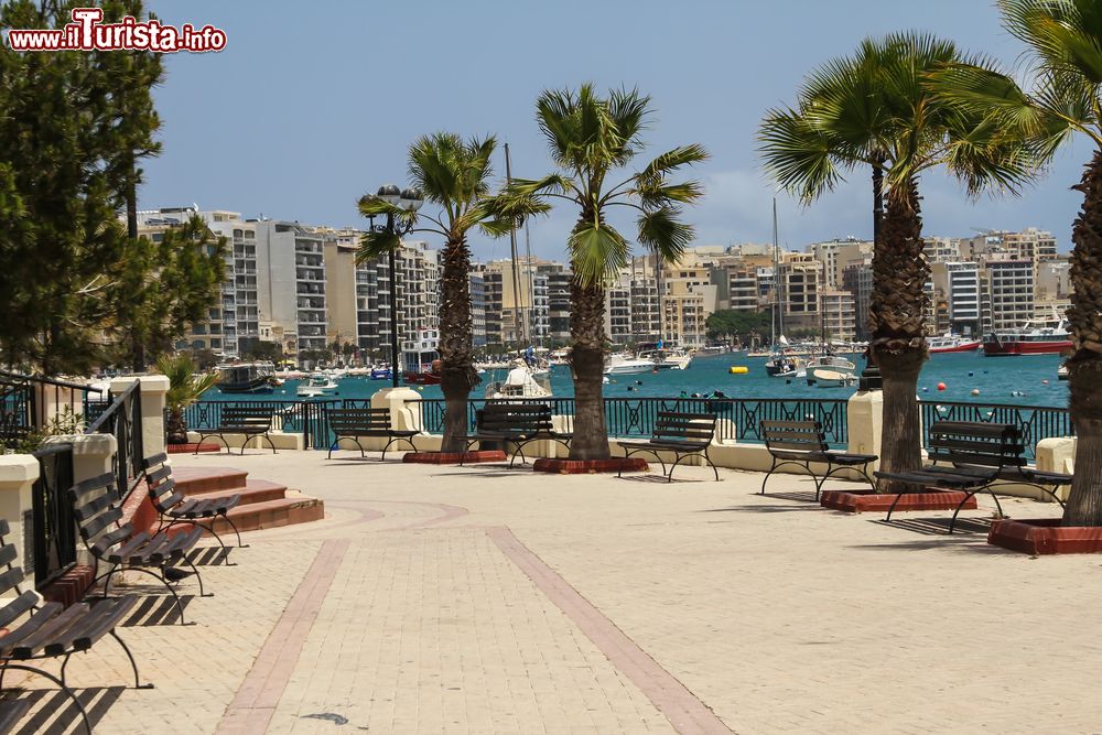 Immagine Un bel panorama di Sliema, costiera maltese. In maltese "sliem" significa pace.