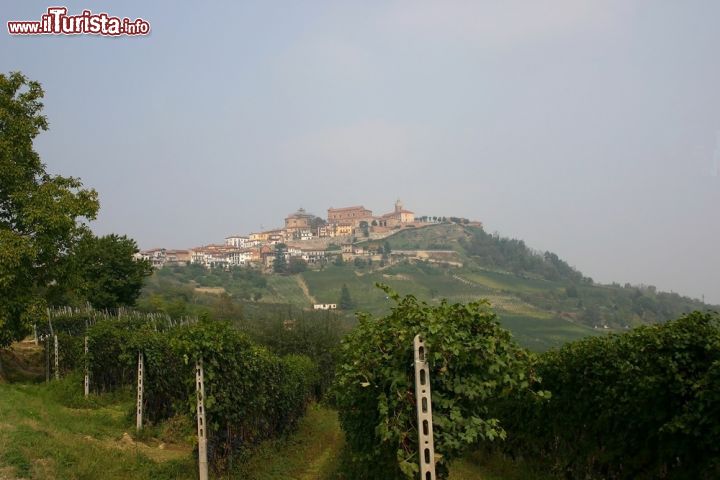 Immagine Un bel panorama sul villaggio di La Morra visto dai vigneti, Cuneo, Piemonte. E' l'oro rosso, prodotto da vitigni pregiati, la ricchezza principale di questo borgo piemontese della provincia di Cuneo