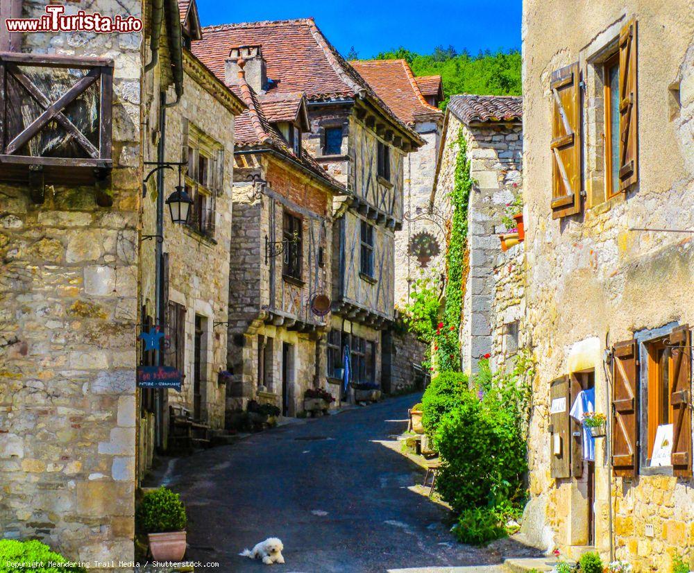 Immagine Un cagnolino in relax in un vicolo di Saint-Cirq-Lapopie (Francia). Sullo sfondo, le tipiche case a graticcio - © Meandering Trail Media / Shutterstock.com